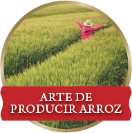 btn-inicio-arte